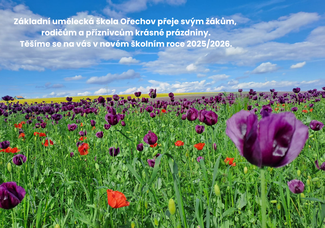 Přání k prázdninám 2025